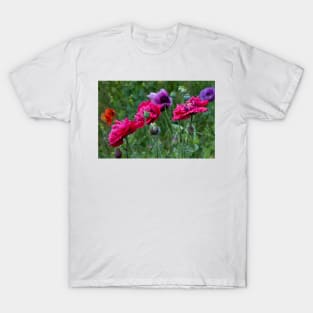 Colourful Poppies T-Shirt